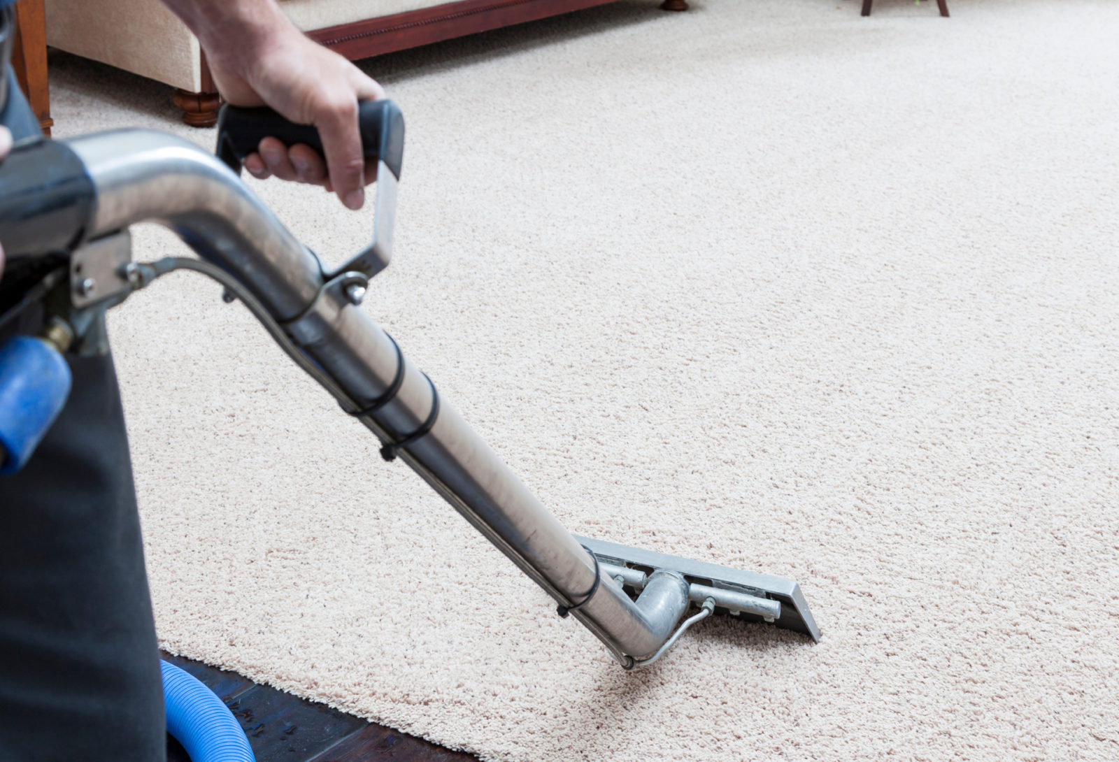 SteamJet Carpet Cleaning Residential Carpet Cleaning Services Erie PA
