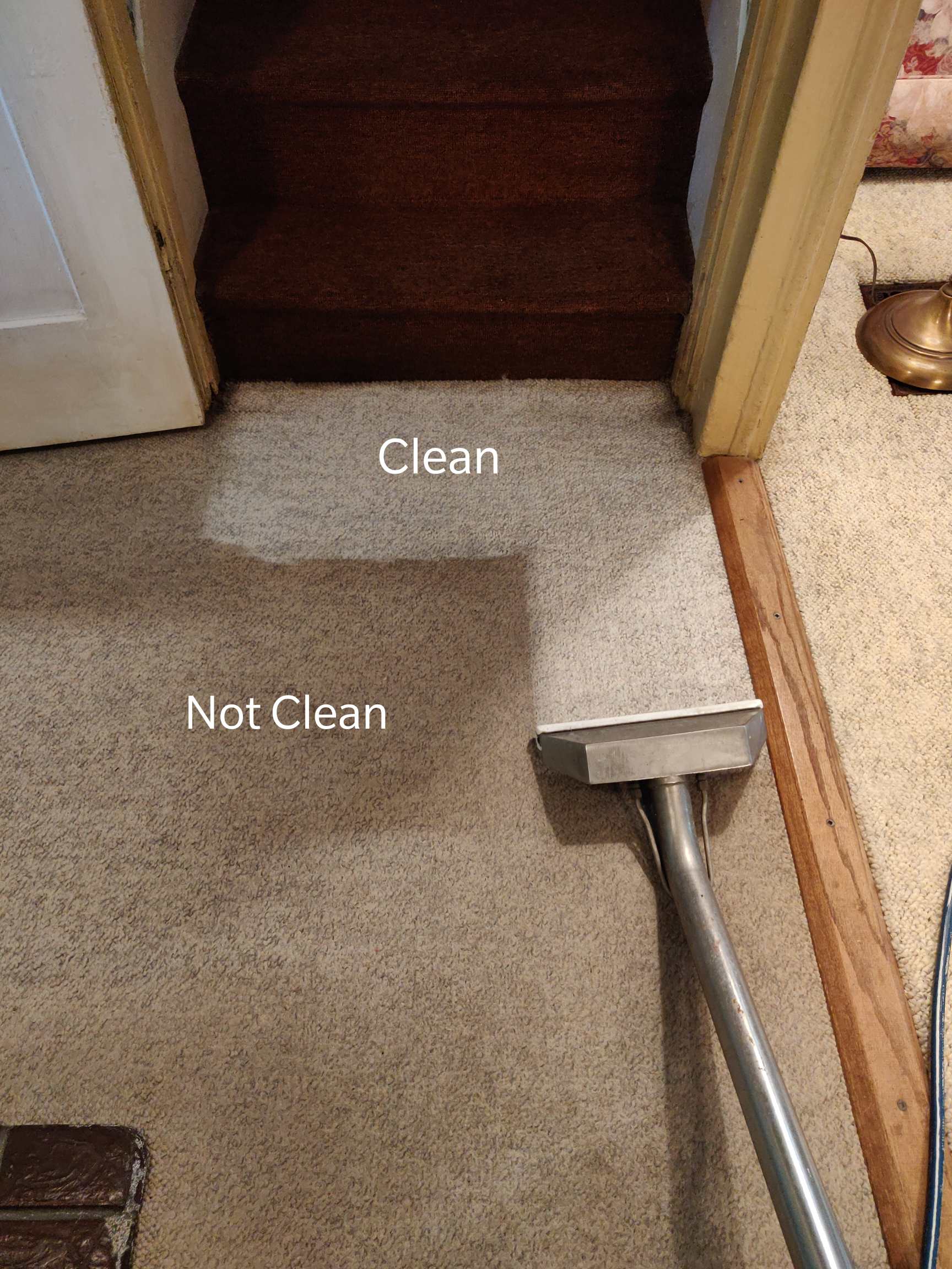 SteamJet Carpet Cleaning Residential Carpet Cleaning Services Erie PA