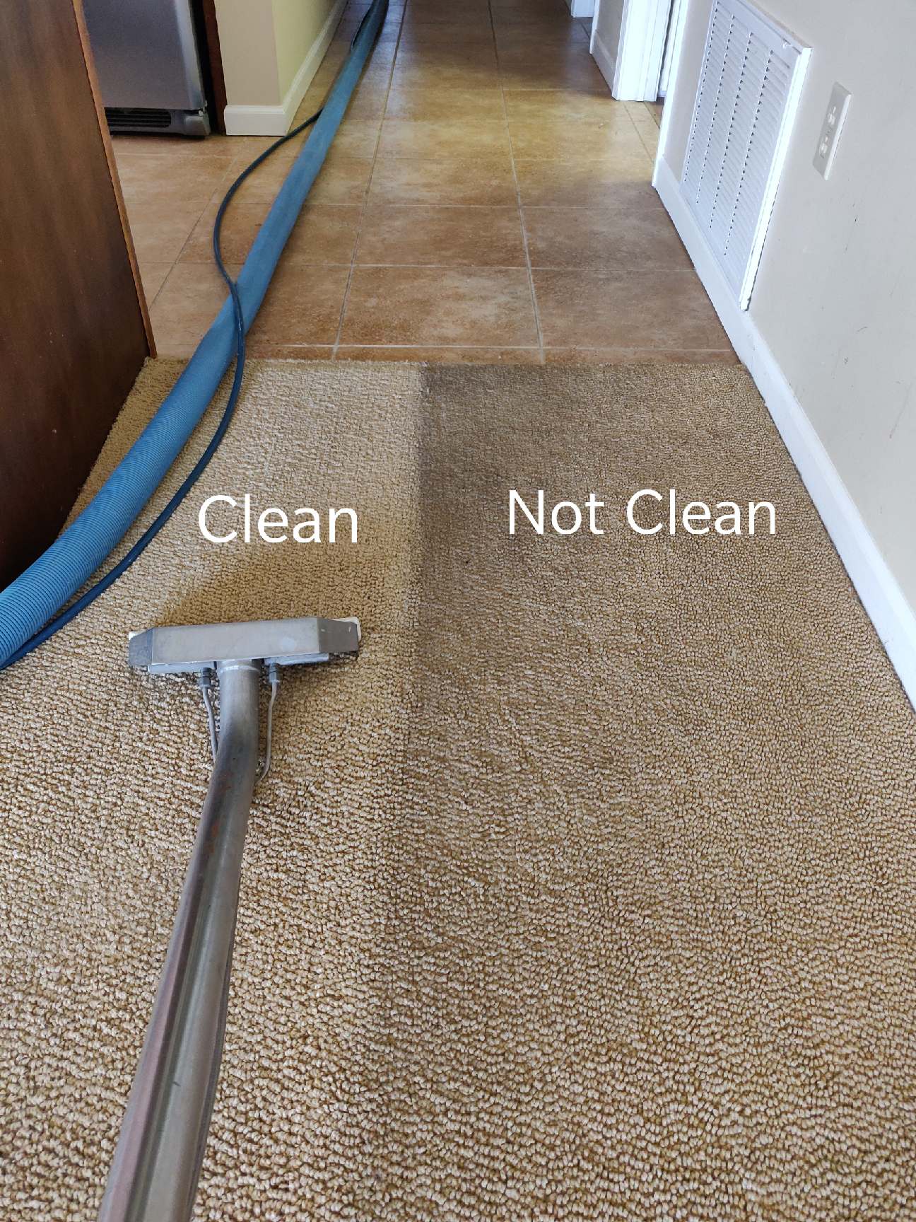 SteamJet Carpet Cleaning Residential Carpet Cleaning Services Erie PA