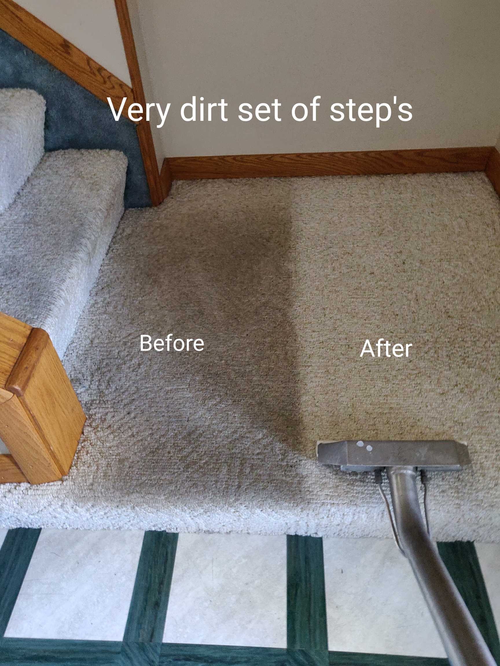 SteamJet Carpet Cleaning Residential Carpet Cleaning Services Erie PA
